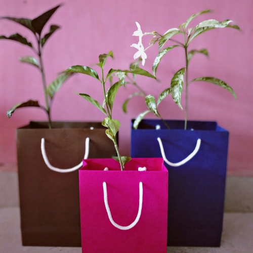 Eco-friendly return gifts