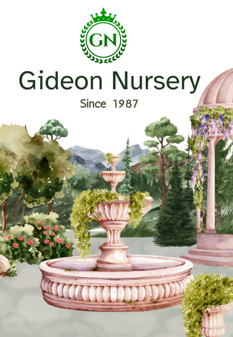 Gideon Nursery - About Us