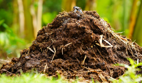 Organic Fertilizers & Soil Enhancers