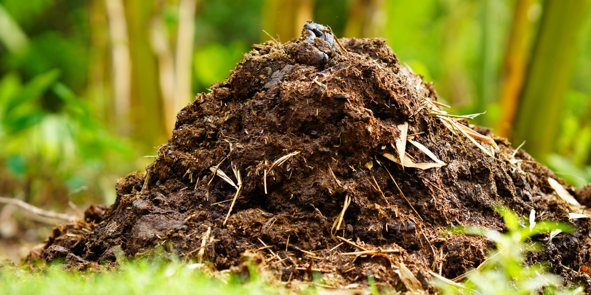 Organic Fertilizers & Soil Enhancers