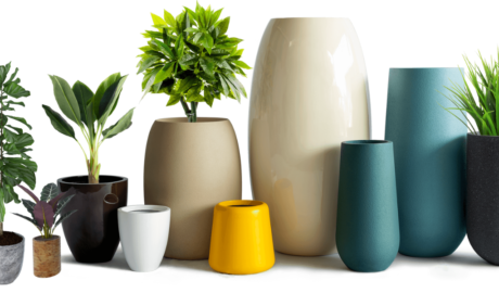 Pots & Planters