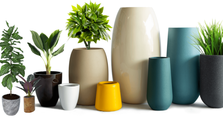 Pots & Planters