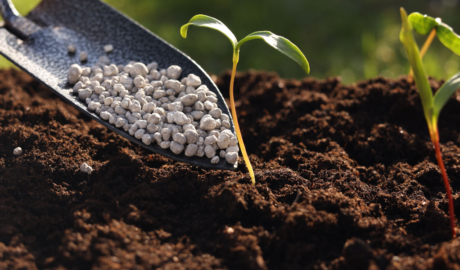 Soil & Growing Mediums