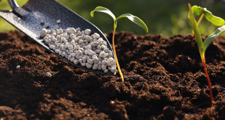 Soil & Growing Mediums