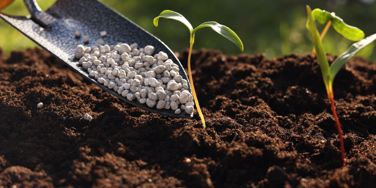 Soil & Growing Mediums