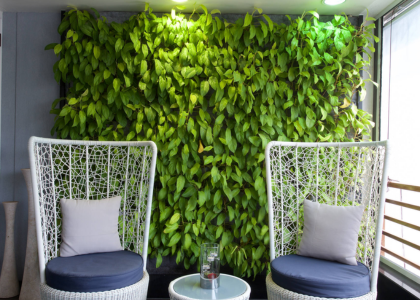 Air Purifying Plants Bio-Walls for Indoor Gardening