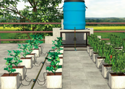 Terrace Garden Water Management