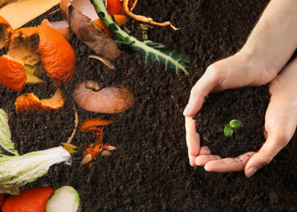 Composting Solutions For Terrace Garden