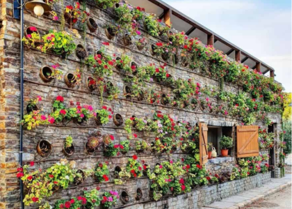 Flowering Plants For Verical Gardens & Bio Wall installation