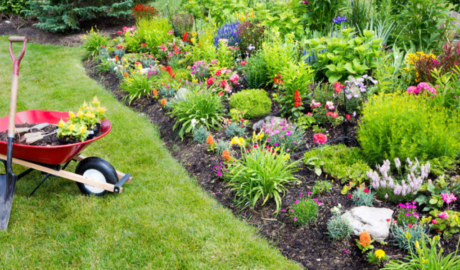 Garden Maintenance Services