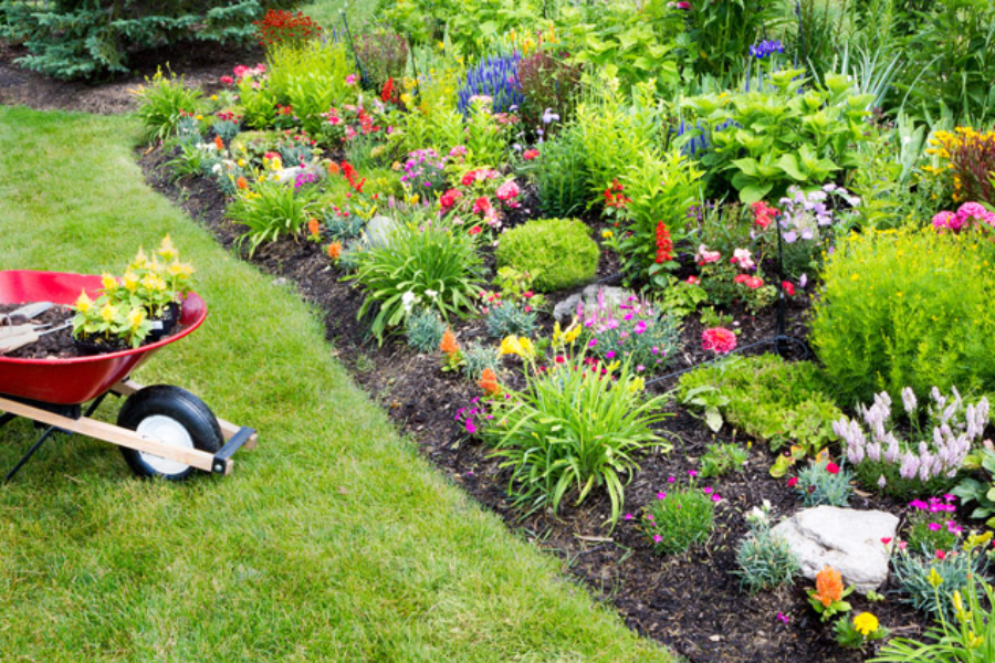 Garden Maintenance Services