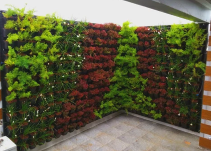 -Vertical Garden Service Provider