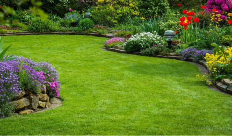 Landscaping Services in Tuticorin