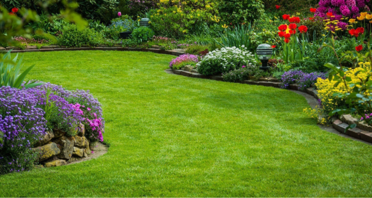 Landscaping Services in Tuticorin