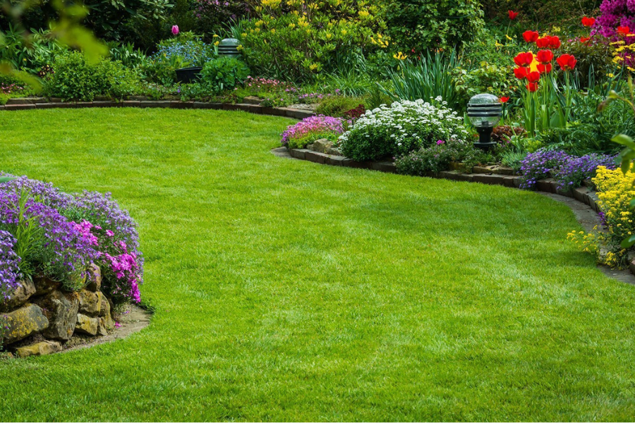 Landscaping Services in Tuticorin