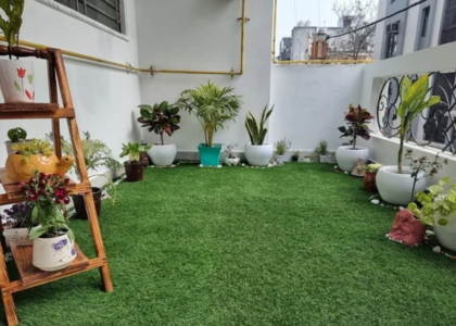 Terrace & Top Roof Lawn