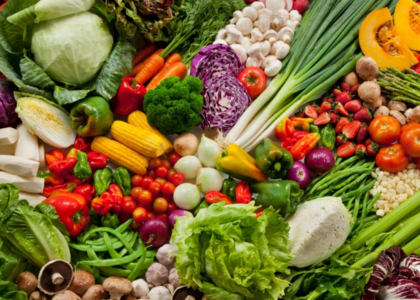 Vegetable Seeds in Tuticorin